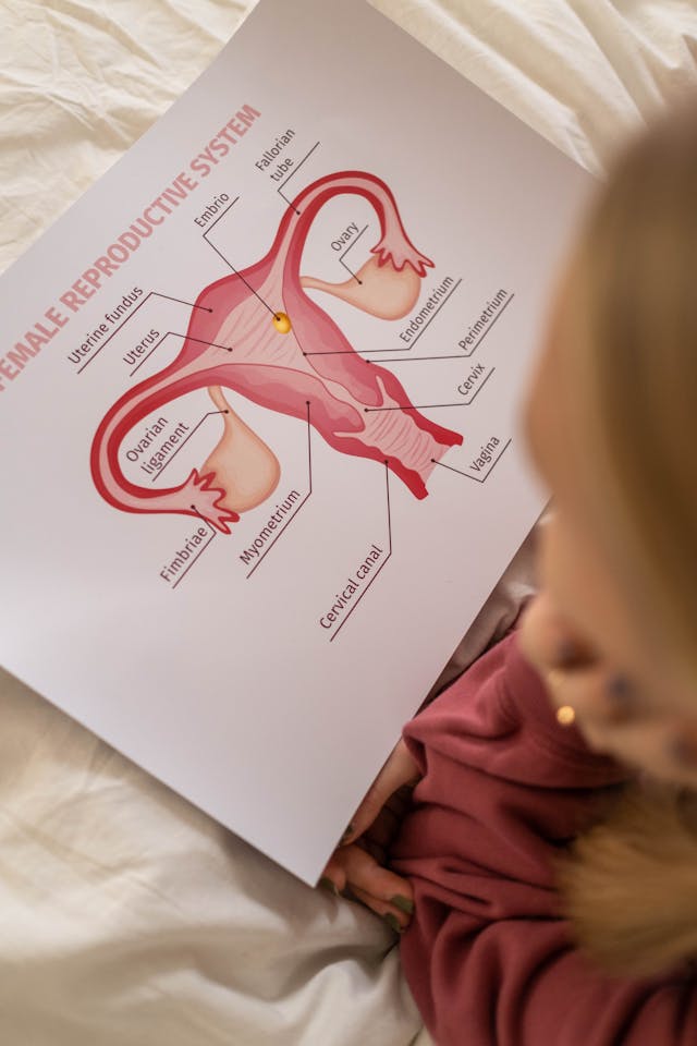 Genital Beyazlatma Nedir? İşlem Süreci ve Faydaları